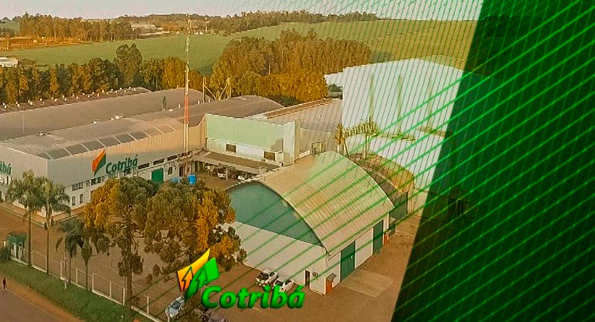 Cotribá abre novas vagas de emprego, confira quais são as oportunidades e saiba como se candidatar agora mesmo por lá. Foto: Divulgação