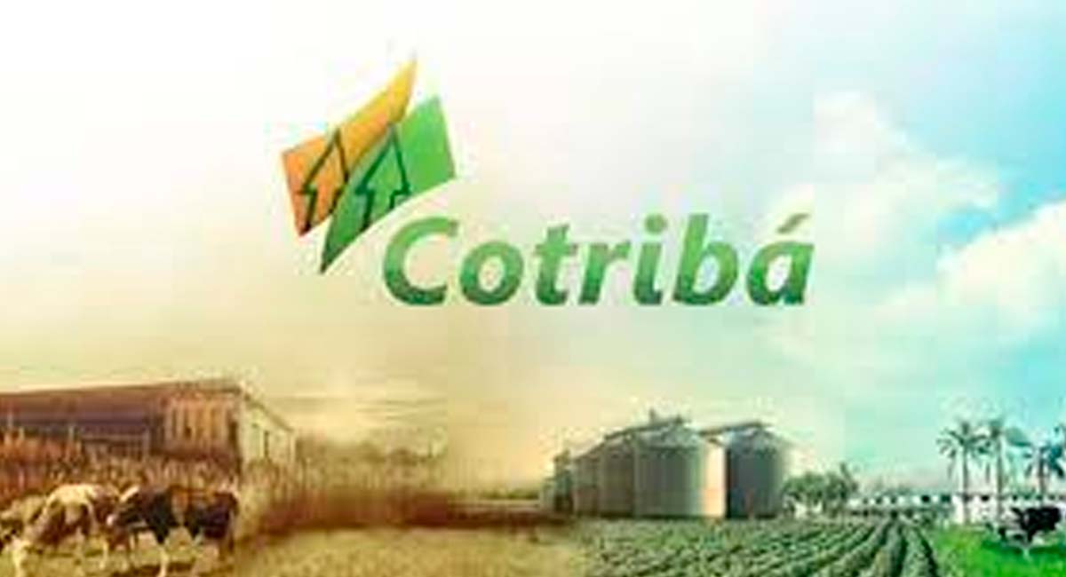 NOVAS VAGAS DE EMPREGO HOJE (21/06): Cotribá contrata agora mesmo, veja as oportunidades e candidate-se. Foto: Reprodução/ Web