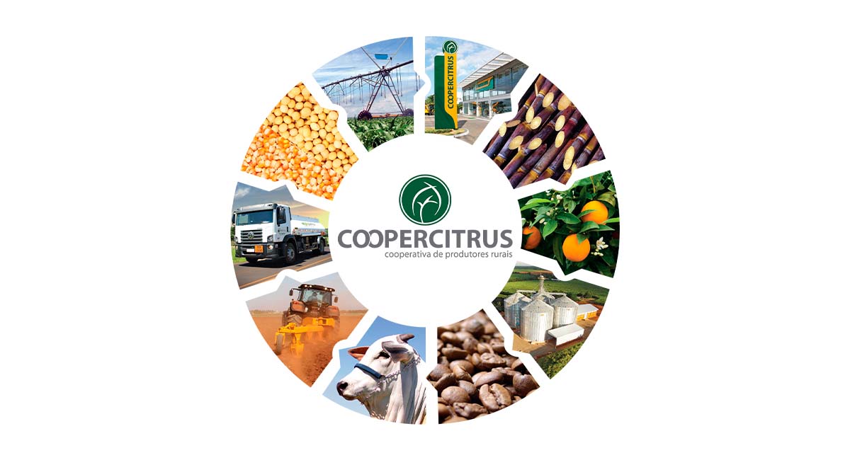 NOVAS VAGAS DE EMPREGO: Coopercitrus contrata, confira agora mesmo. Foto: Reprodução