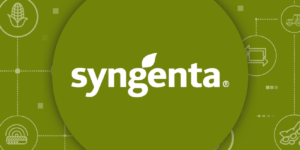Syngenta abre oportunidades de emprego para brasileiros.