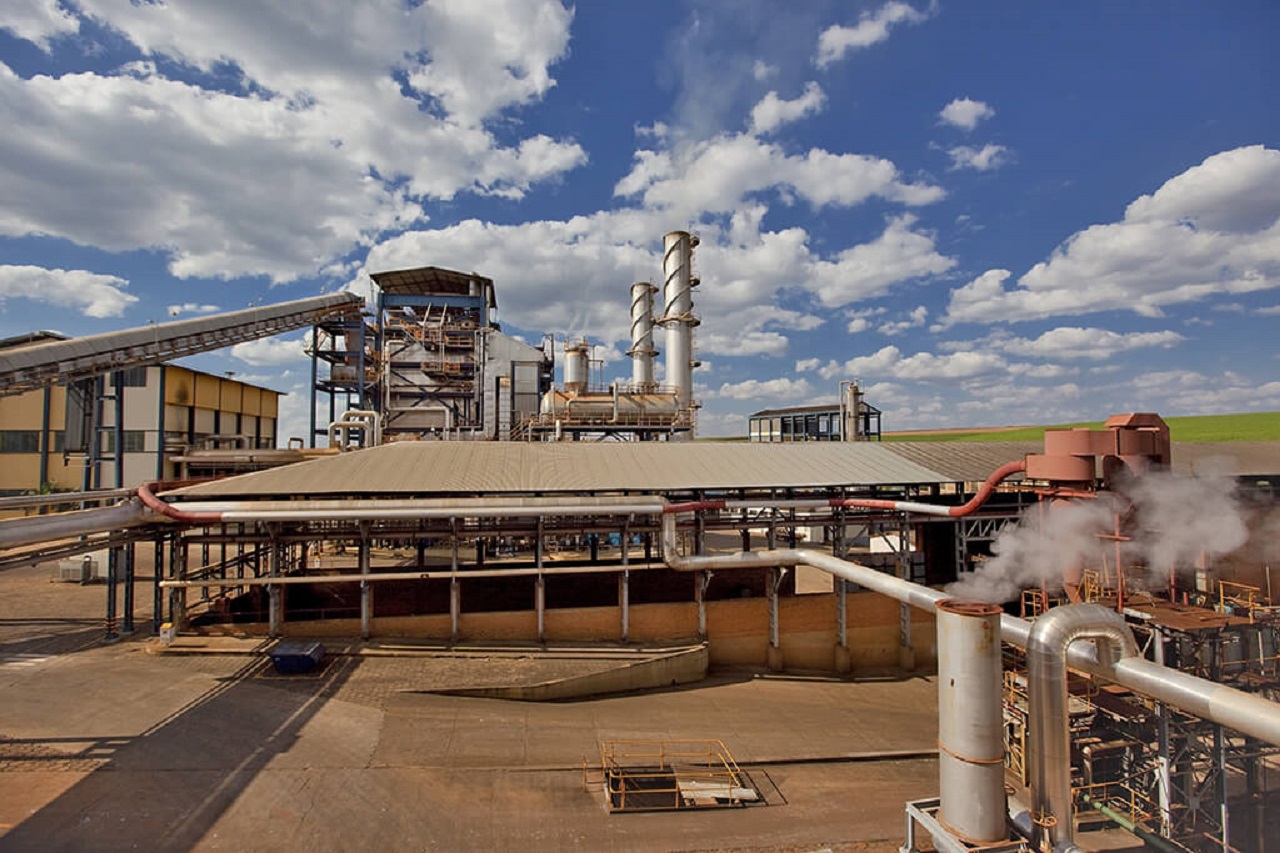 Oportunidades de Emprego: Vagas Abertas nas Usinas de Cana-de-Açúcar de São Paulo