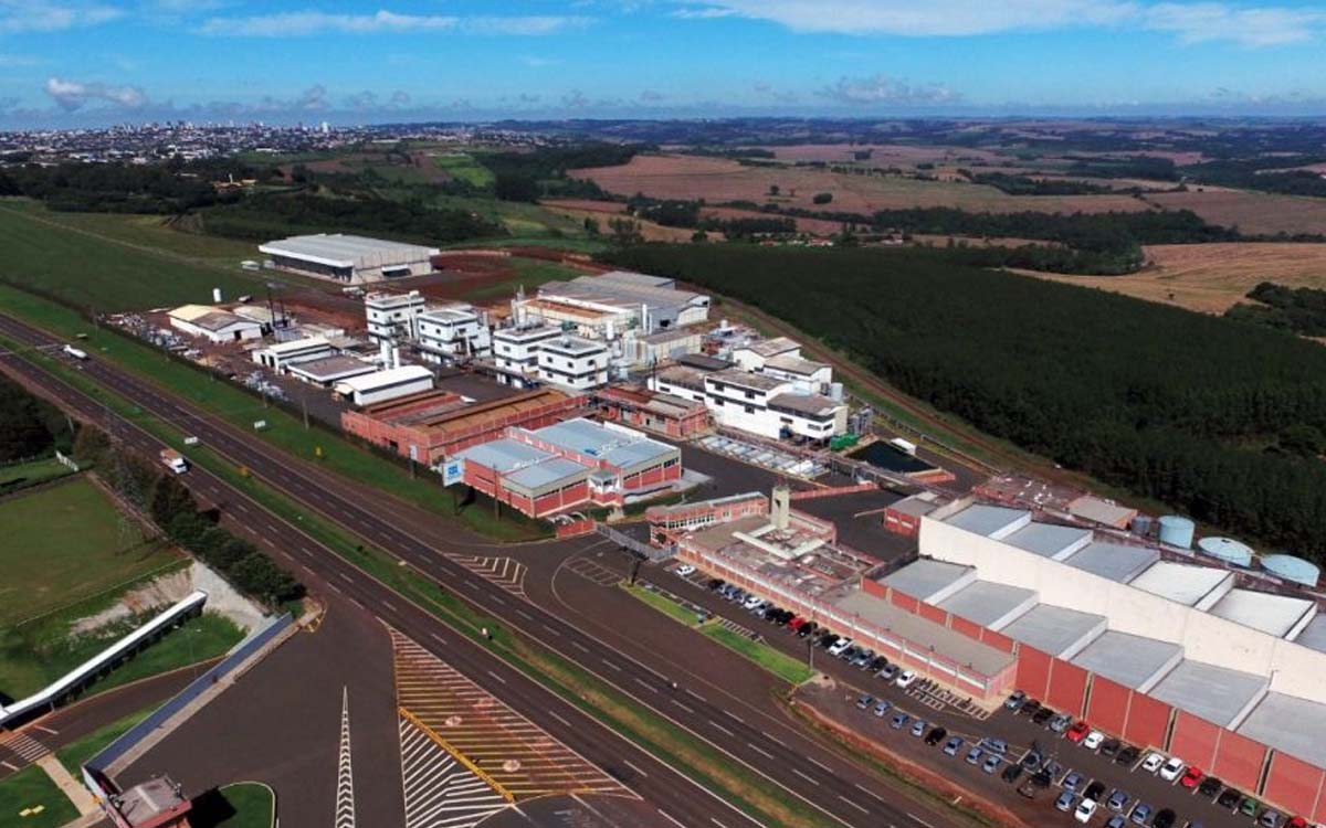 Nortox abre novas vagas de emprego pelo país, confira. Foto: Divulgação