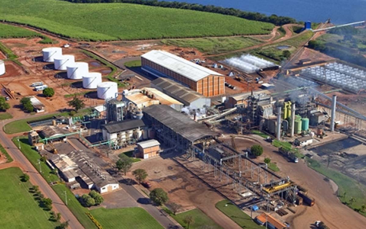 Usina Santa Adélia abre novas vagas de emprego, confira. Foto: Divulgação