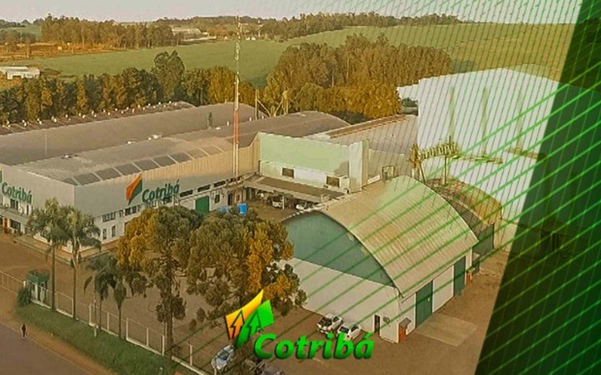 Cotribá abre novas vagas de emprego, confira as oportunidades. Foto: Divulgação