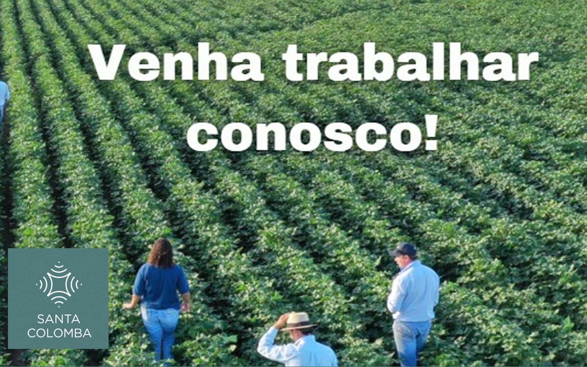 Santa Colomba está com novas vagas de emprego, confira quais são as oportunidades. Foto: Divulgação
